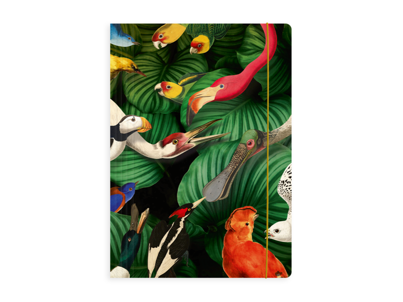 Documentenmap met elastiekje,  A4, Vogelpracht, Teylers Museum