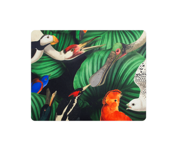 Muismat, Vogelpracht, Teylers Museum