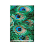 Fridge Magnet, peacock feathers