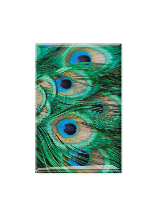 Imán de nevera, plumas de pavo real