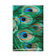 Fridge Magnet, peacock feathers