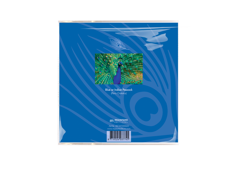 Chiffons de Nettoyages en Micro-Fibre, Plumes de paon