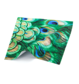 Paño de gafas,15 x 15 cm , plumas de pavo real