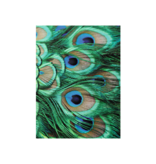 Carnet de croquis à couverture souple, Plumes de paon