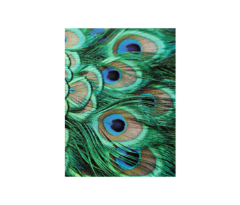 Artist Journal, peacock feathers