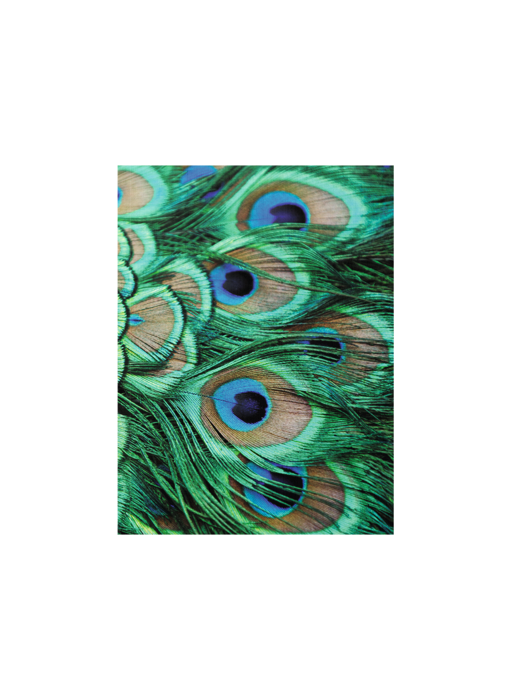 Artist Journal, peacock feathers