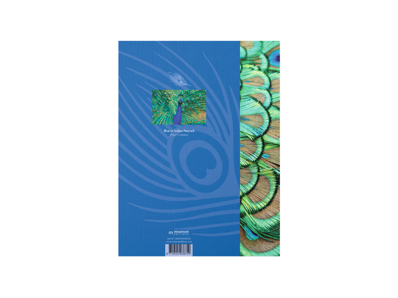 Softcover Kunst Skizzenbuch,  Pfauenfedern