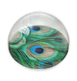 Paperweight, peacock feathers