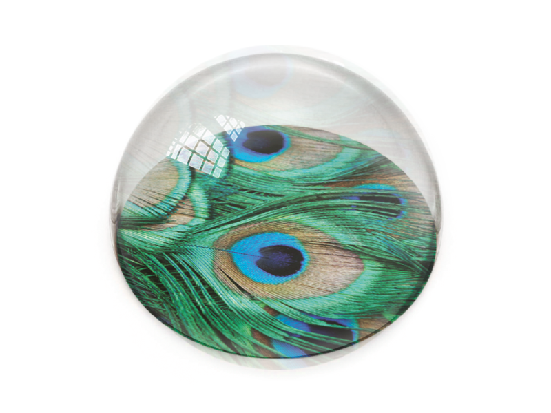 Paperweight, peacock feathers