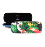 Funda de gafas, Aves, Museo Teylers