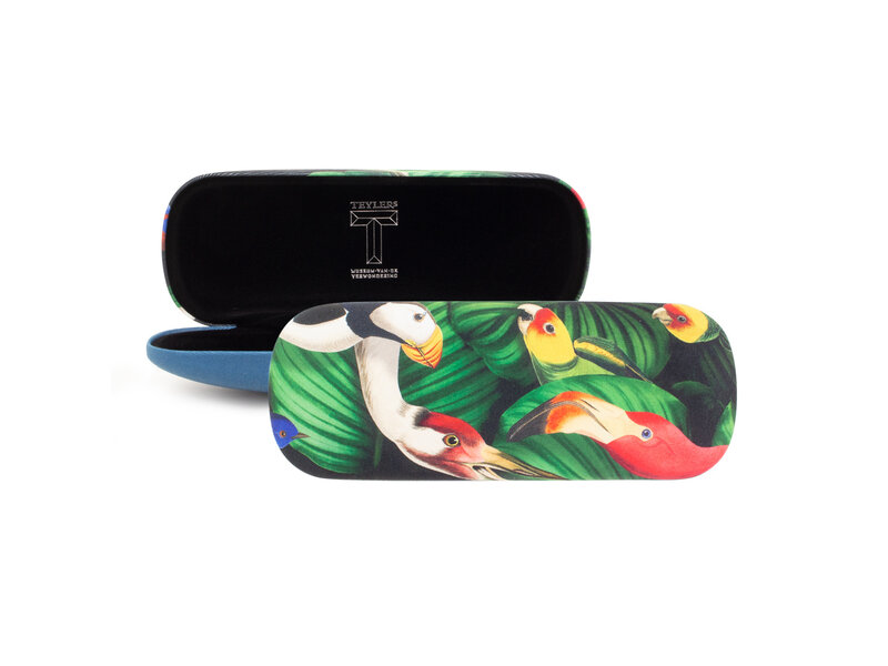 Brillenetui, Vögel, Teylers Museum