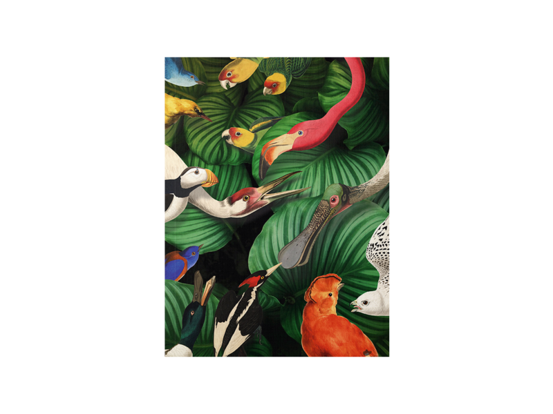 Softcover art sketchbook, Bird life, Teylers Museum