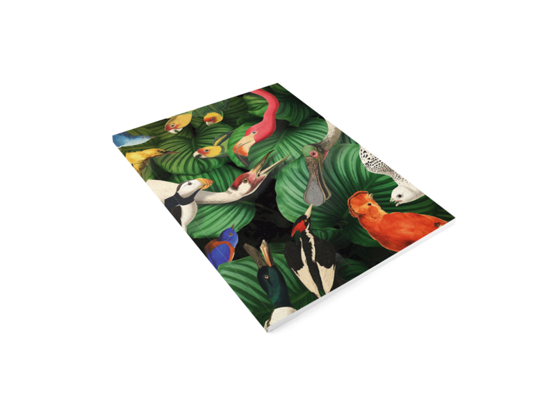 Softcover kunst schetsboek,  Vogelpracht, Teylers Museum