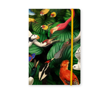 Carnet à couverture souple, A5, Oiseaux, Musée Teylers