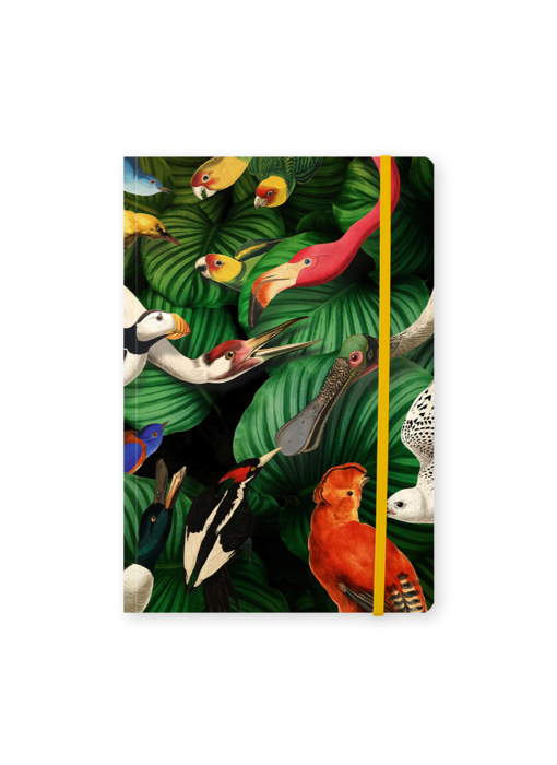 Softcover notitieboekje, A5,  Vogelpracht, Teylers Museum
