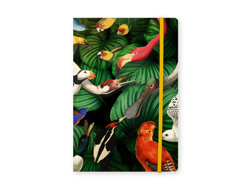 Softcover notitieboekje, A5, Vogelpracht, Teylers Museum