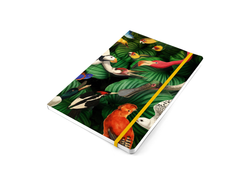 Softcover notitieboekje, A5, Vogelpracht, Teylers Museum