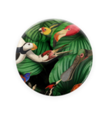 Pocket Mirror, Ø 80 mm , Bird life, Teylers Museum