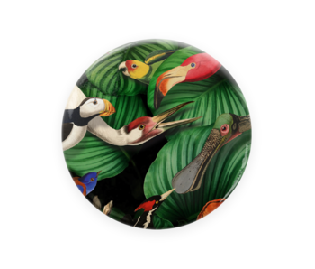 Miroir de poche,  Ø 80mm, Oiseaux, Musée Teylers