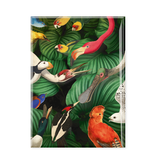 Fridge magnet XL, Bird life, Teylers Museum