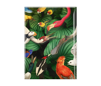 Fridge magnet XL, Bird life, Teylers Museum