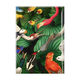 Fridge magnet XL, Bird life, Teylers Museum