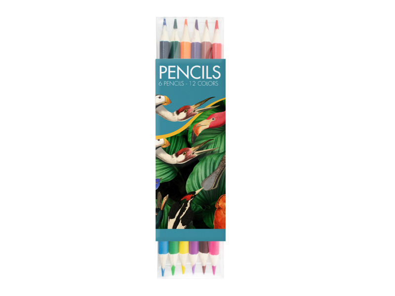 Colouring Pencil Flat Pack, Teylers Museum, Birdlife