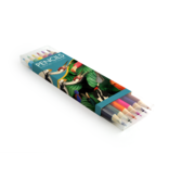 Colouring Pencil Flat Pack, Teylers Museum, Birdlife Colouring Pencil Flat Pack, Teylers Museum, Birdlife