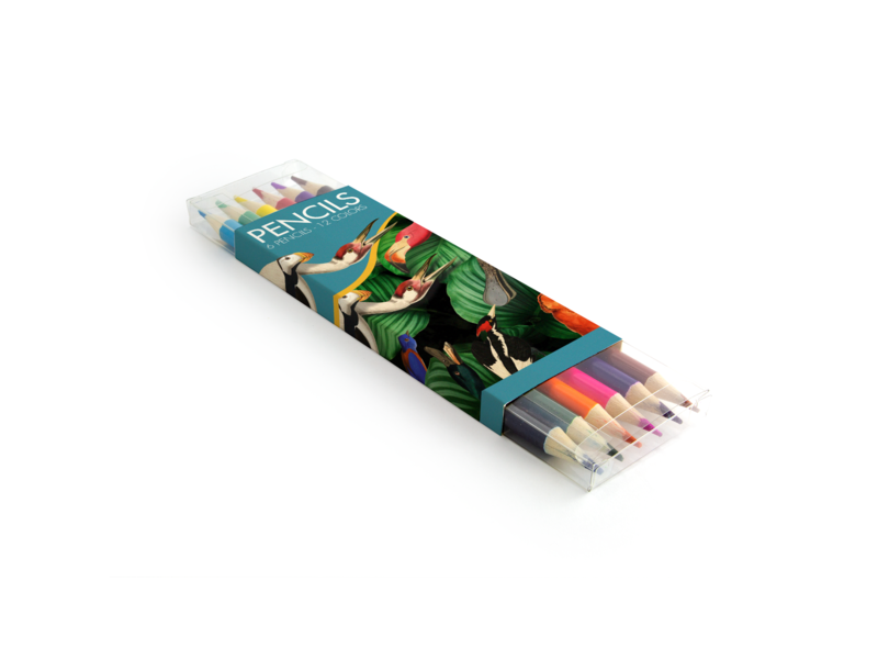 Satz Buntstifte,Teylers Museum, Vögel