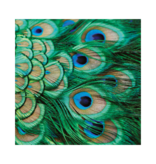 Sjaal chiffon, 68x68 cm, Pauwen veren