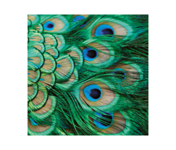 Sjaal chiffon, Pauwen veren