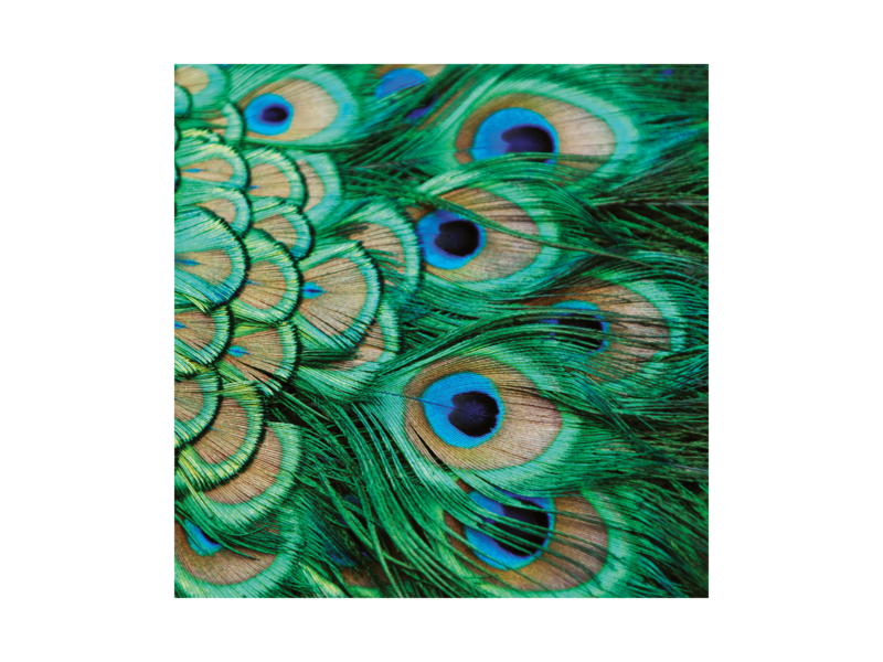 Sjaal chiffon, 68x68 cm, Pauwen veren