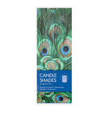 Candle shade , Peacock feathers