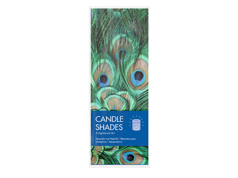 Candle shade , Peacock feathers