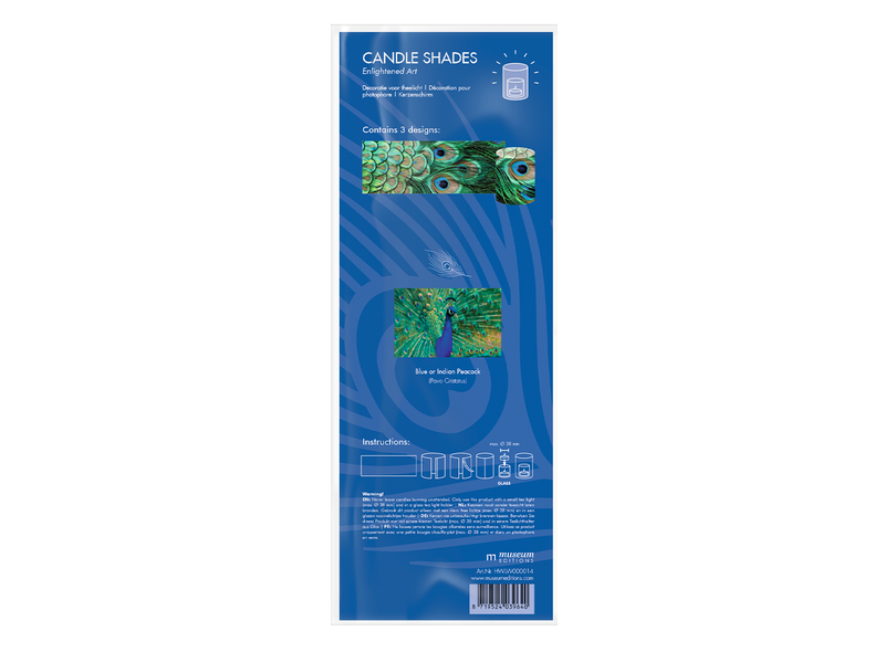 Wind lichtjes, set van 3, , Pauwen veren