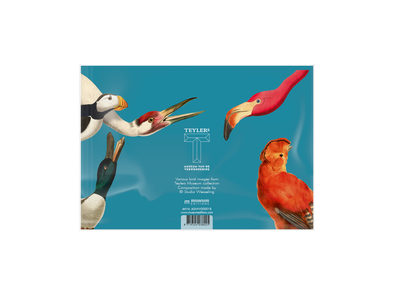 Slaapmasker, Vogels Teylers