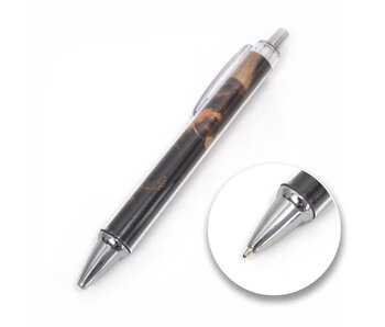 Foto pen , Rembrandt, De Vaandeldrager