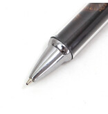 Photo Pen, Rembrandt, The Standard Bearer