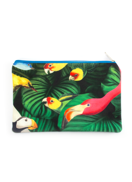 Trousse, Oiseaux, Musée Teylers