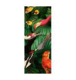 Scarf chiffon ,  Teylers, Bird Life