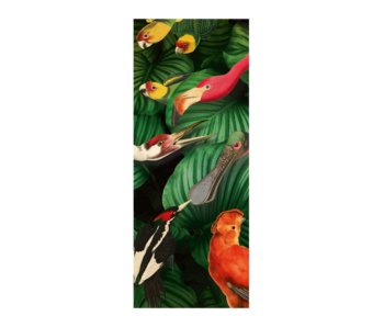 Sjaal chiffon,  100 x 40 cm, Vogelpracht, Teylers Museum
