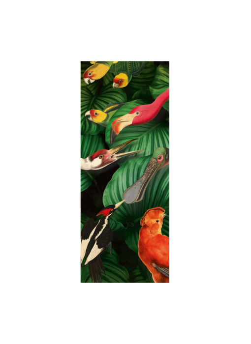 Sjaal chiffon,  100 x 40 cm, Vogelpracht, Teylers Museum