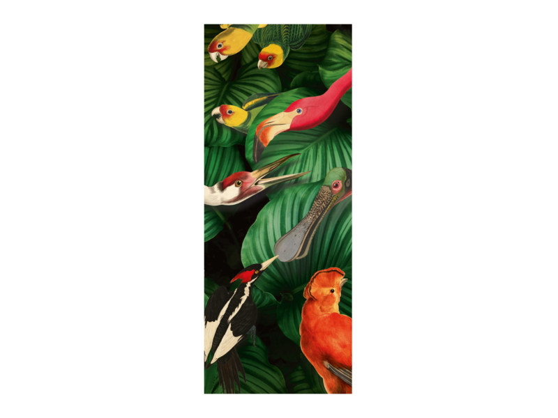 Scarf chiffon ,  Teylers, Bird Life