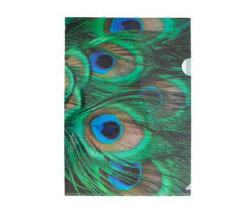 File Sheet A4, Pauwenveren