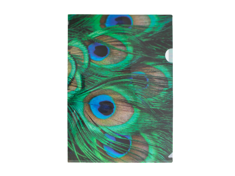 File Sheet ,Peacock feathers