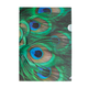 Porte-documents A4, Plumes de paon