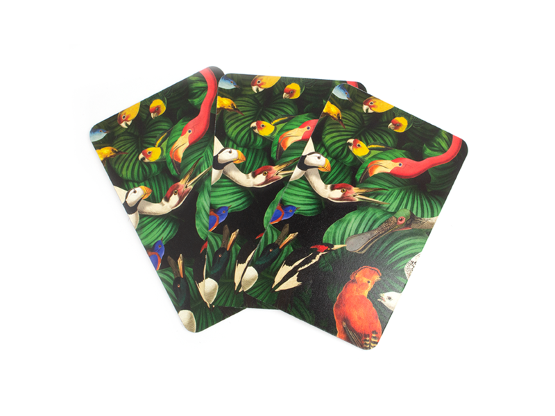 Cartes à jouer, Oiseaux, Musée Teylers