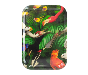 Serving  tray Laminate Bird life, Teylers Museum