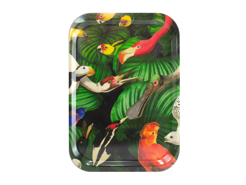 Bandeja laminada grande, Aves, Museo Teylers