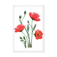 Magnet de réfrigérateur, Coquelicots